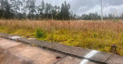 Terreno de prueba manta