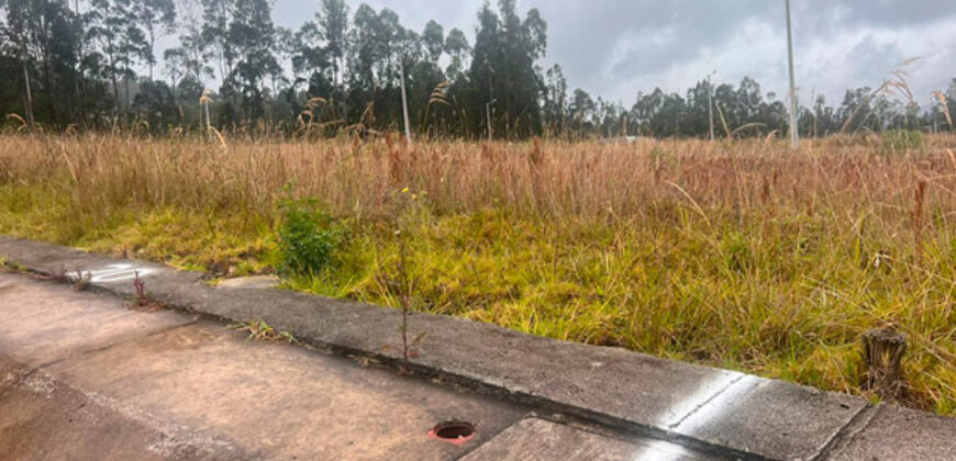 Terreno de prueba manta