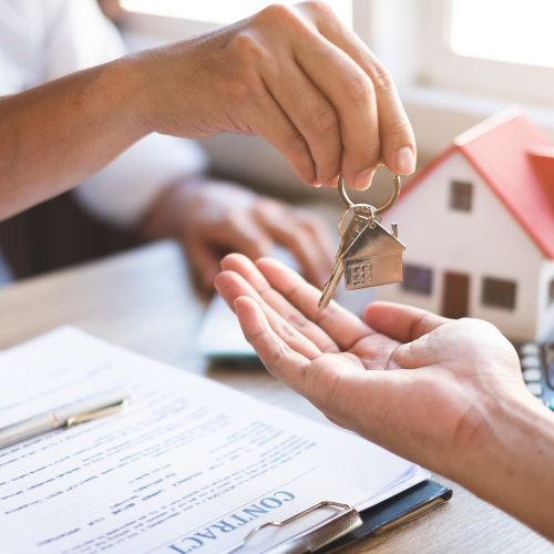 imagen_2024-07-30_193215327